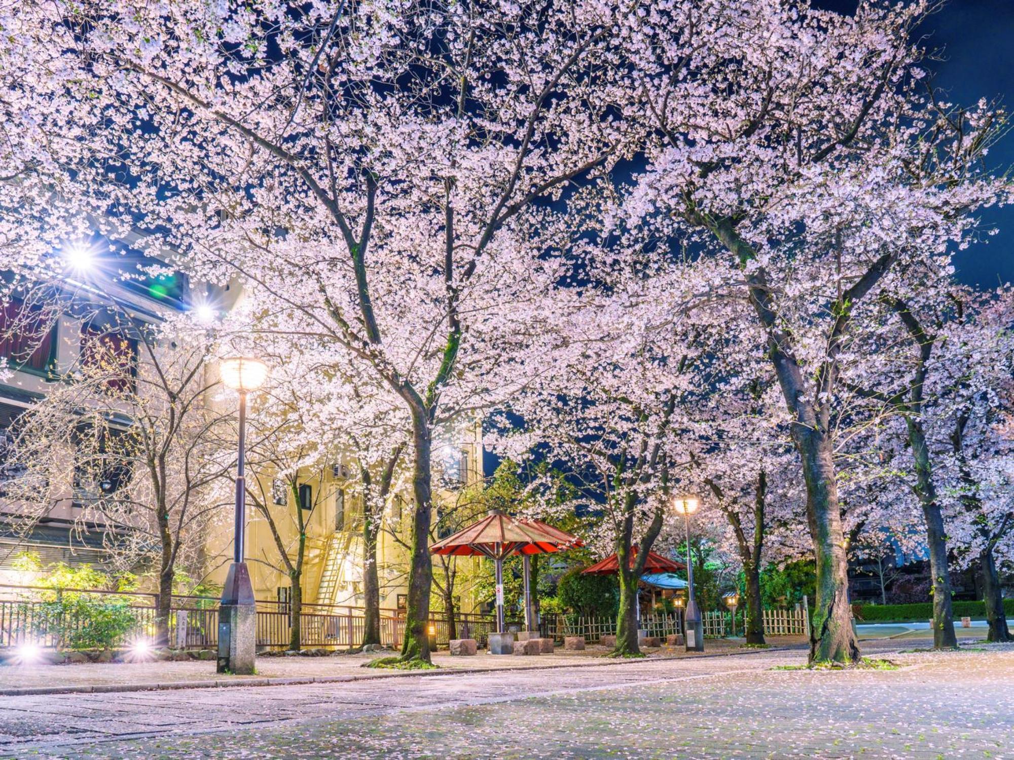 The Blossom Кіото Екстер'єр фото
